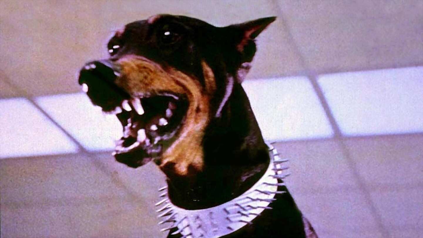 El clan de los Doberman (Cine · Acción, Comedia, Crimen · 1972)