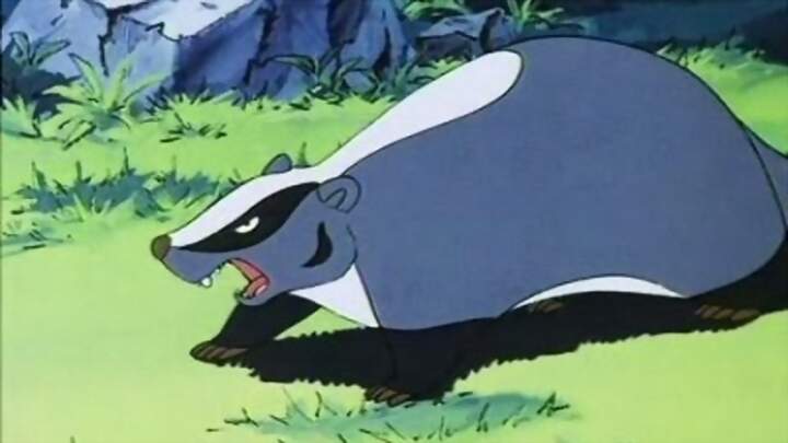 El bosque de Tallac: Jackie y Nuca