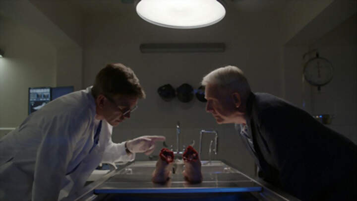 Navy, investigación criminal