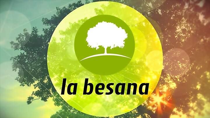 La Besana, al día